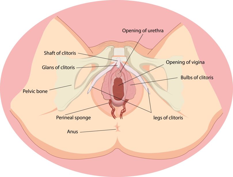 Vagina Swollen After Sex